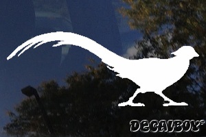 Fasan Silhouette Window Decal