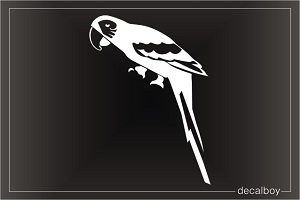 Parrot Window Decal