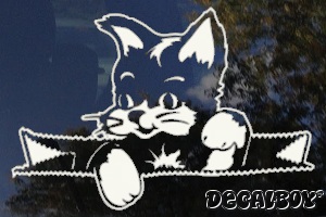 Cat 4 Window Decal