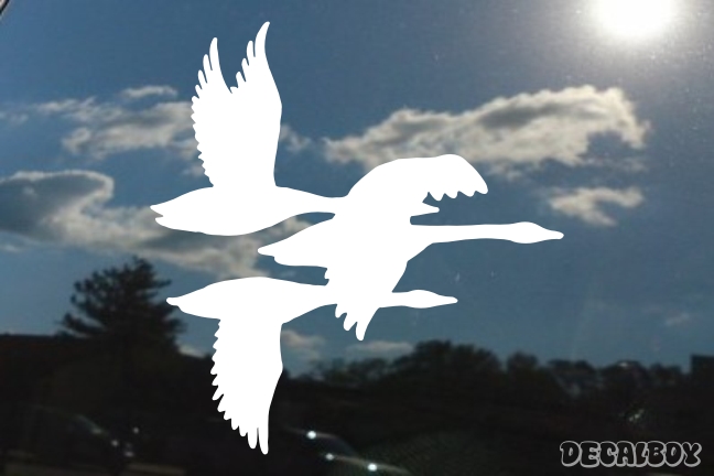 Duck 3 Window Decal