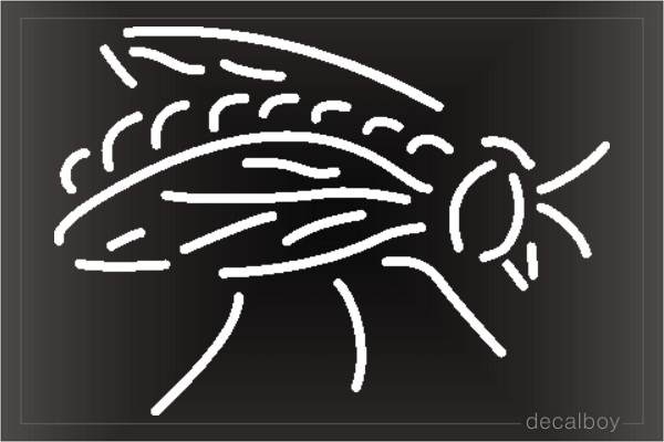 Fly 3 Window Decal