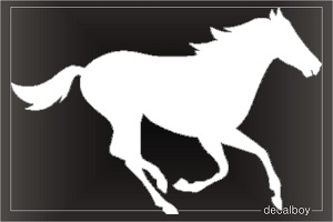 Arabian Horse Car Window Decal