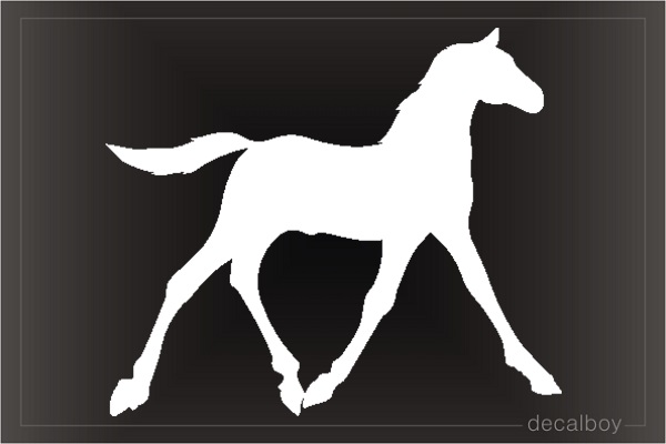 Fabulous Colt Horse Car Window Decal