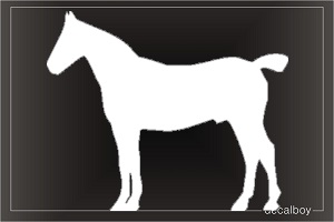 Chincoteague Pony Car Window Decal