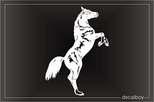 Horse Arabian Car Window Decal