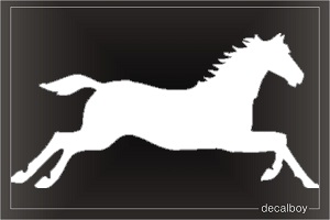 Quiz Horse Car Window Decal