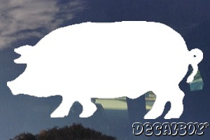 Pig 3 Window Decal