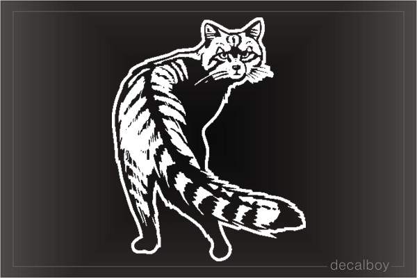 Raccoon Window Decal