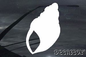 Shell Window Decal