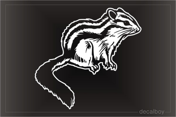 Squirrel Window Decal