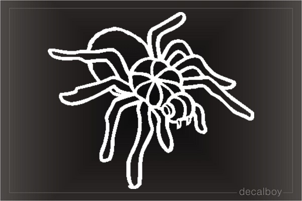 Tarantula Spider Window Decal