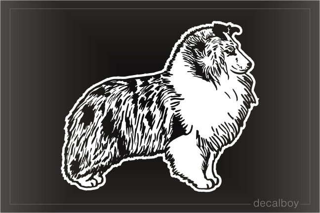 Blue Merle Collie Car Window Decal