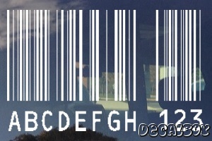 Barcode Car Decal