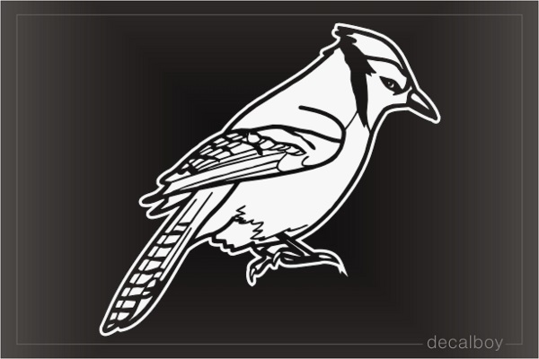 Blue Jay Window Decal