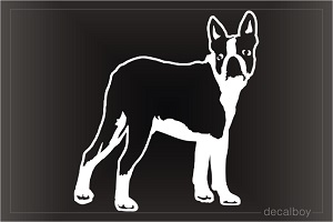 Boston Terrier Car Window Decal