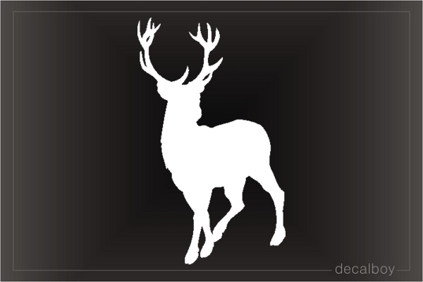 Buck 78 Window Decal