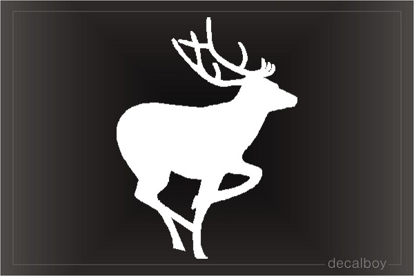 Buck 856 Window Decal