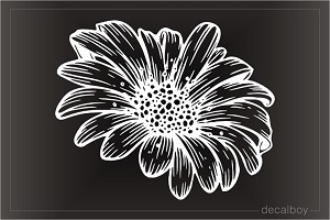 Calendula Decal