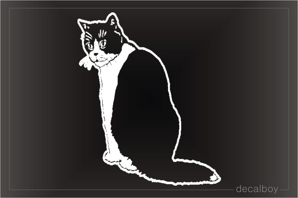 Cat Silhouette Car Window Decal
