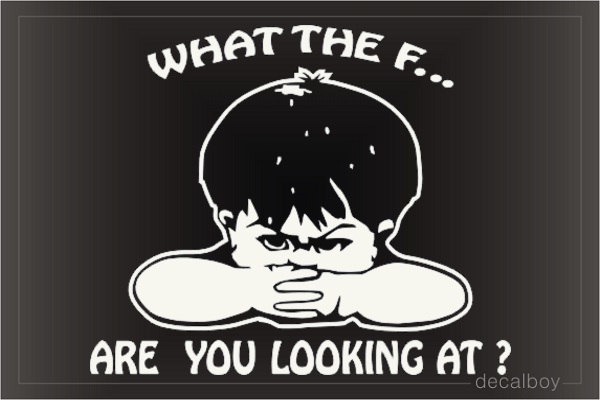 What The F Car Window Decal