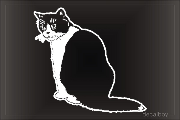 House Cat Window Decal