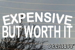 Expensive But Worth It Vinyl Die-cut Decal