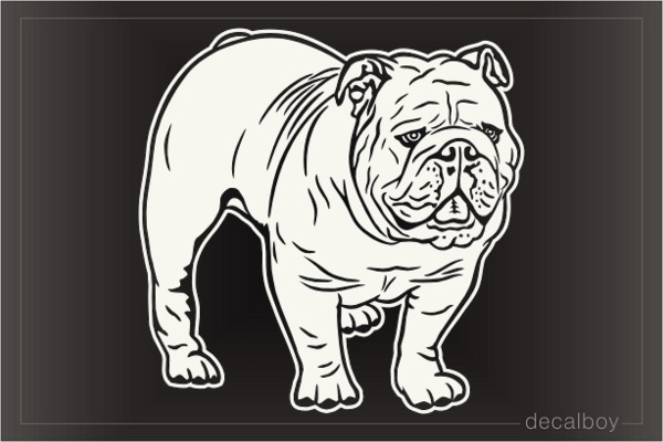 English Bulldog Decal