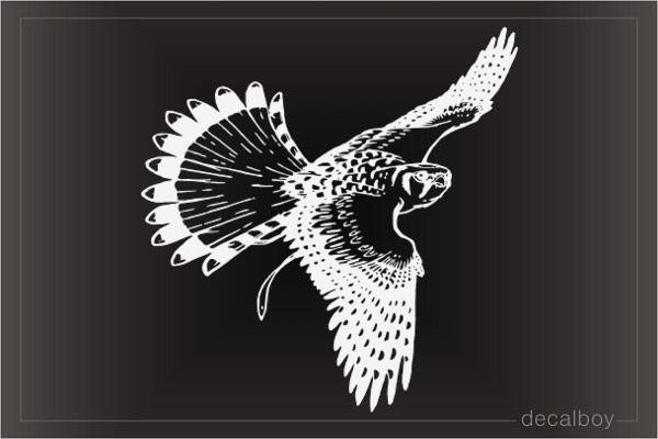 Hawk Decal