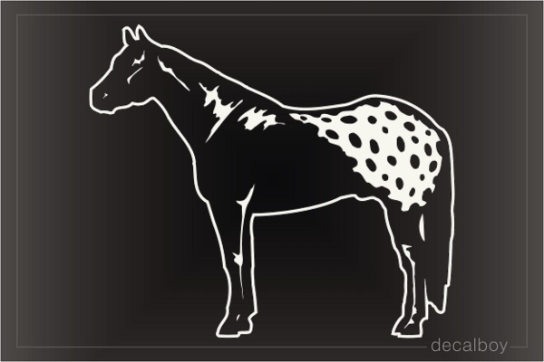 Appaloosa Horse Car Window Decal