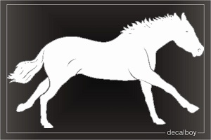 Horse Przewalski Car Window Decal