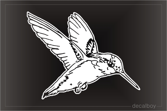 Hummingbird Window Decal