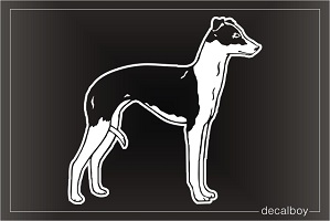 Italian Greyhound Car Window Decal