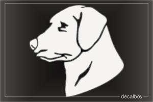 Labrador Head Decal