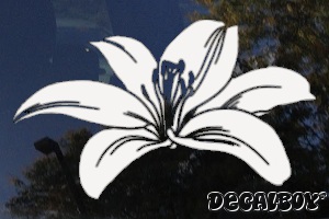 Lili White Decal