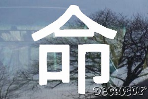 Soul Chinese Symbol Auto Window Decal