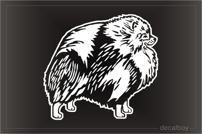 Pomeranian Car Window Decal