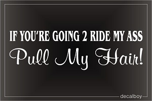 Ride My Ass Pull My Hair Car Decal