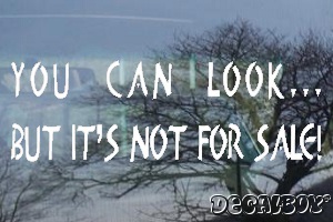 You Can Look But Car Decal