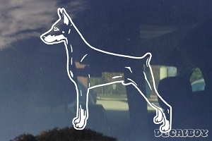 Miniature Pinscher Car Window Decal