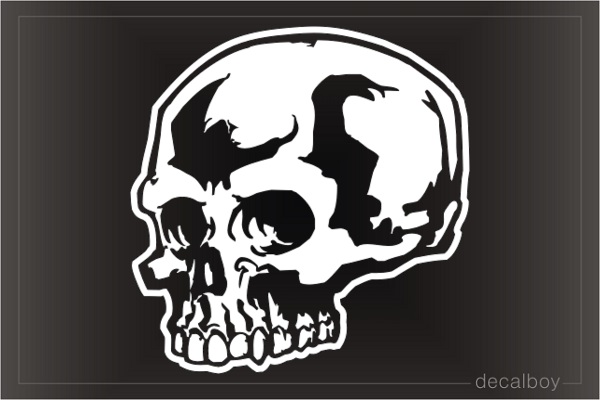 Human Skull Car Window Decal