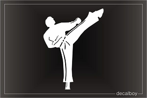 Karate Boy Window Decal