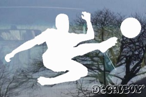 Soccer Ball Kicking Window Decal