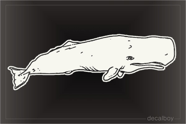 Sperm Whale Window Decal