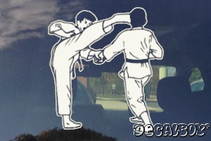 Tae Kwon Do Window Decal