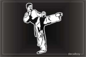 Tae Kwon Do 3 Window Decal