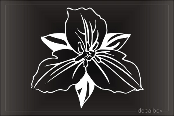 Trillium Decal