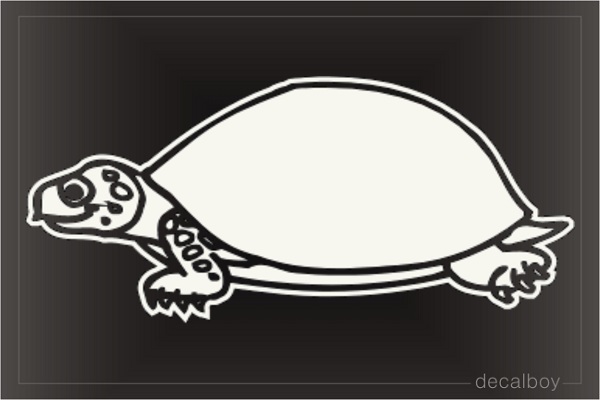 Turtle Ornate Box Window Decal