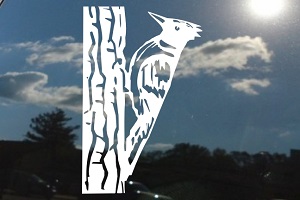 Woodpecker Window Decal