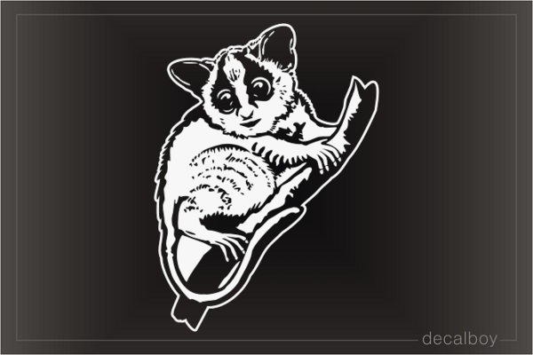 African Bush Baby Mouse Lemur Window Decal