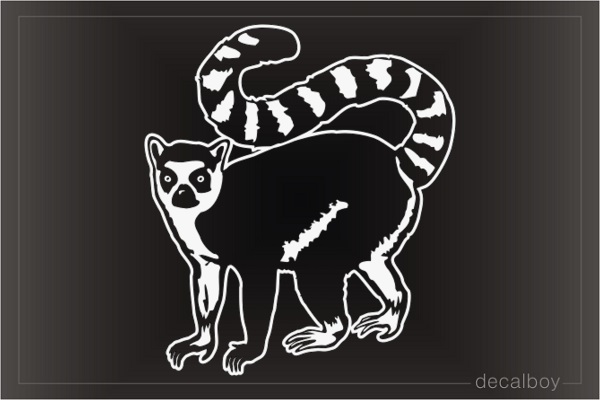 African Lemur Window Decal